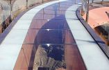 Skywalk (West Grand Canyon), Las Vegas and Theme Parks 7-Day Tour Package